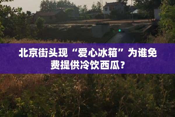 北京街头现“爱心冰箱”为谁免费提供冷饮西瓜？