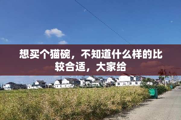 想买个猫碗，不知道什么样的比较合适，大家给