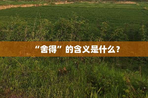 “舍得”的含义是什么？