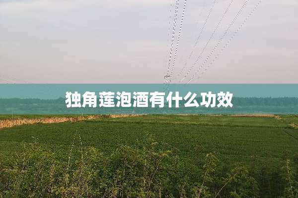独角莲泡酒有什么功效