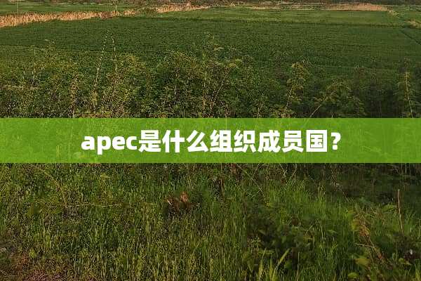 apec是什么组织成员国？