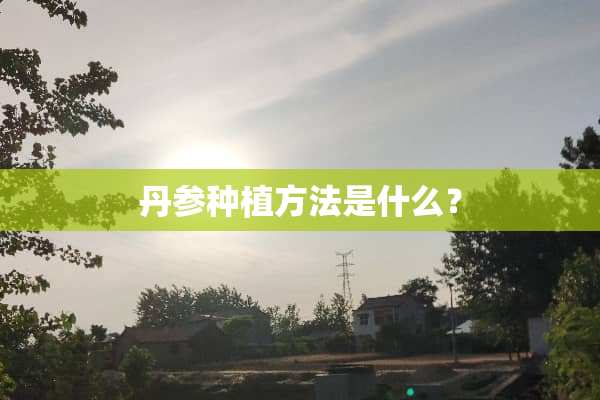 丹参种植方法是什么？