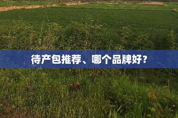 待产包推荐、哪个品牌好？