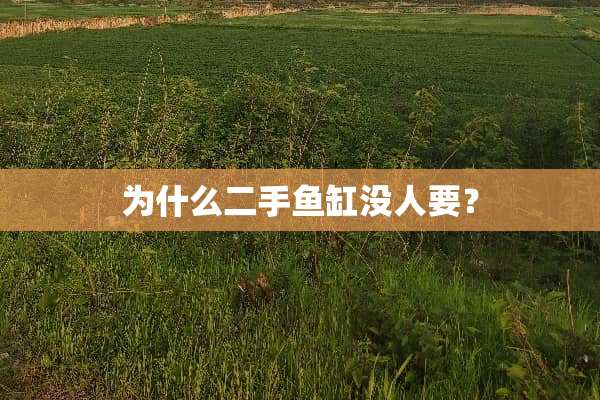 为什么二手鱼缸没人要？