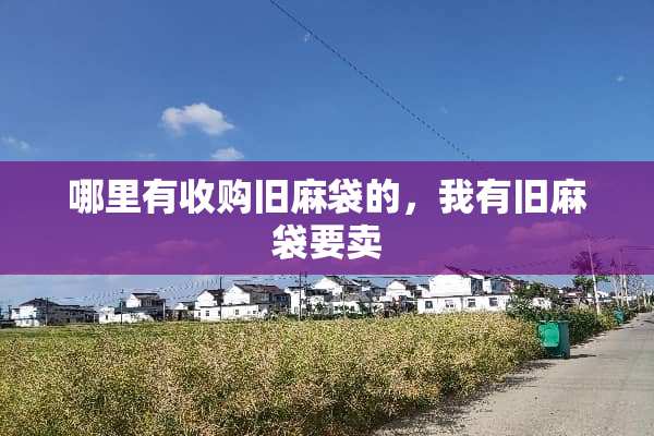 哪里有收购旧麻袋的，我有旧麻袋要卖