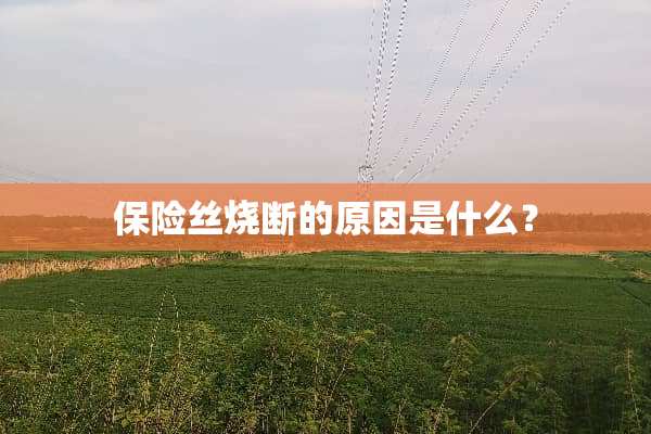 保险丝烧断的原因是什么？