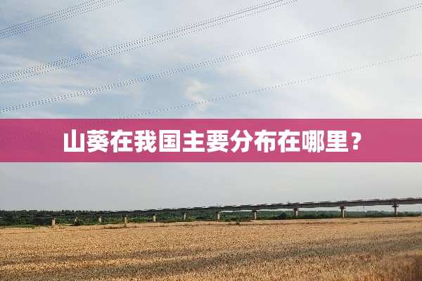 山葵在我国主要分布在哪里？