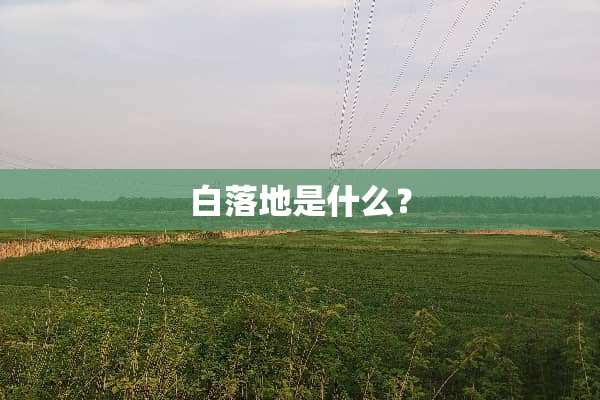 白落地是什么？