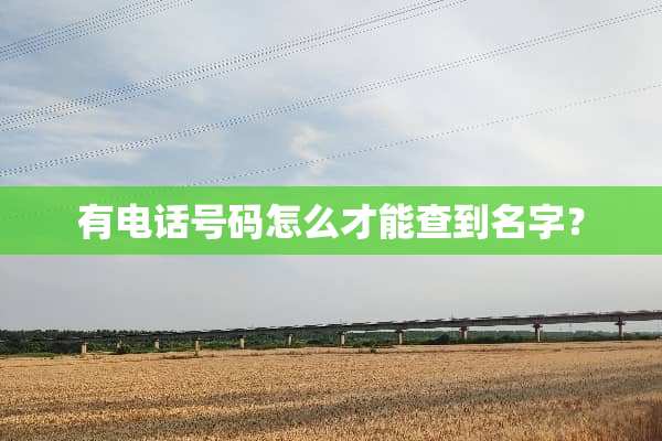 有电话号码怎么才能查到名字？