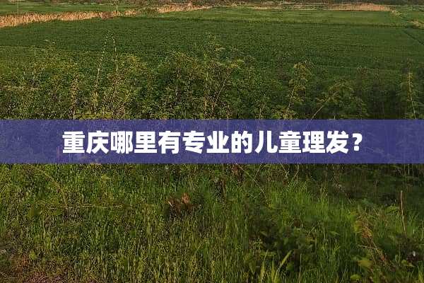 重庆哪里有专业的儿童理发？