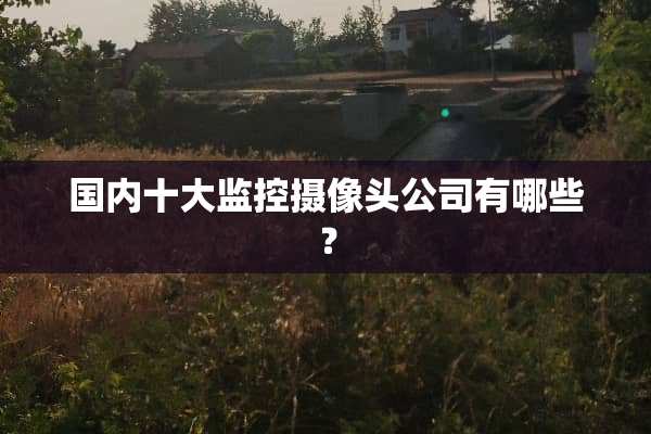 国内十大监控**头公司有哪些？