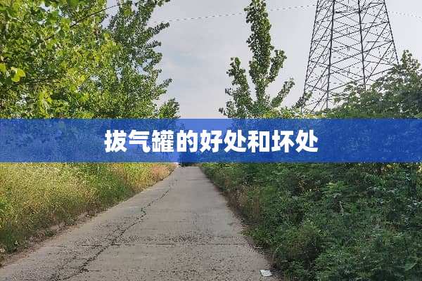 拔气罐的好处和坏处