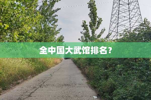 全中国大武馆排名？