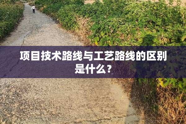 项目技术路线与工艺路线的区别是什么？