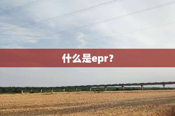 什么是epr？
