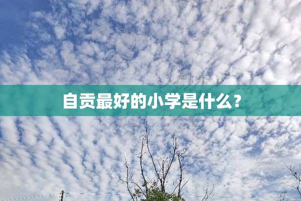 自贡最好的小学是什么？