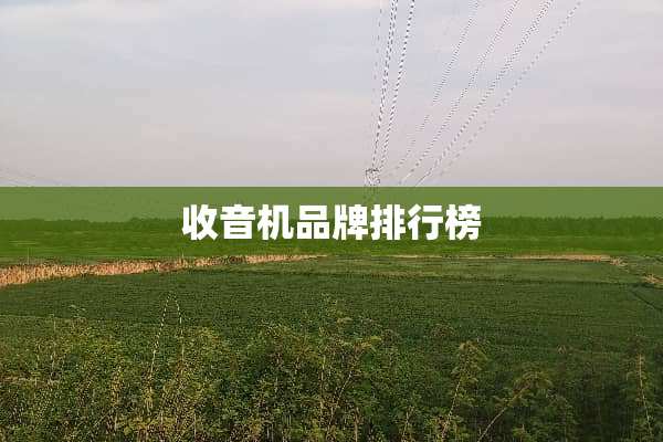 收音机品牌排行榜