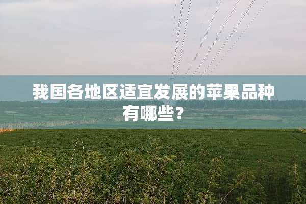 我国各地区适宜发展的苹果品种有哪些？