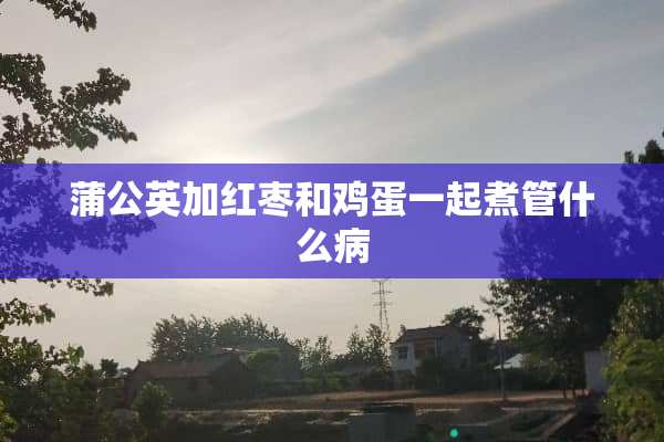 蒲公英加红枣和鸡蛋一起煮管什么病