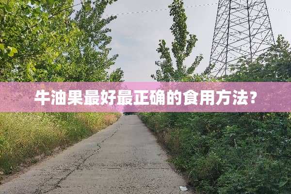 牛油果最好最正确的食用方法？