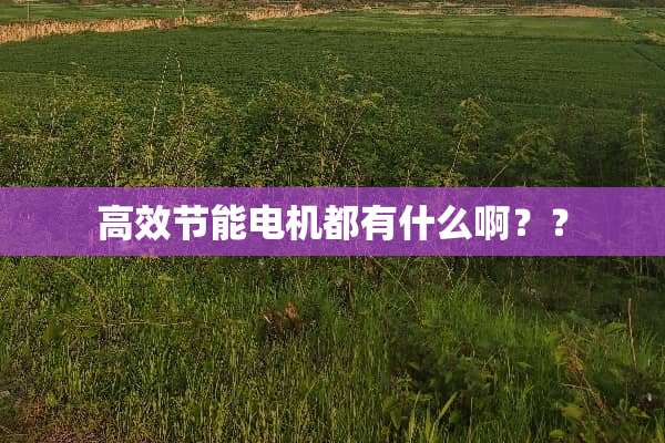 高效节能电机都有什么啊？？