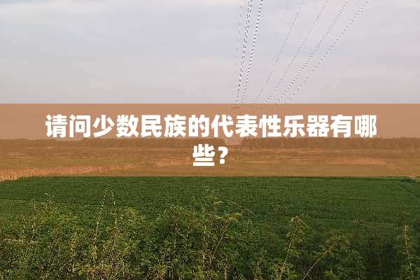 请问少数民族的代表性乐器有哪些？