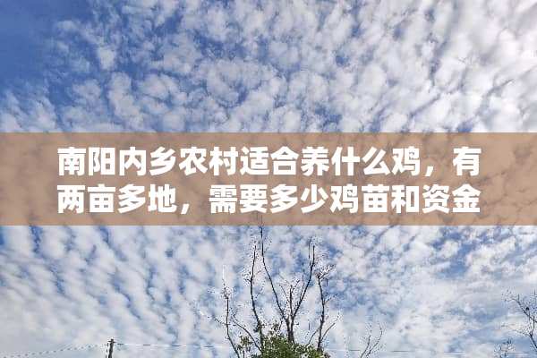 南阳内乡农村适合养什么鸡，有两亩多地，需要多少鸡苗和资金。