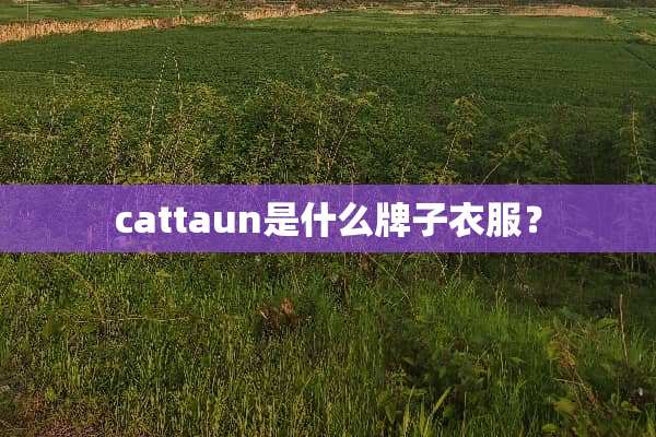 cattaun是什么牌子衣服？