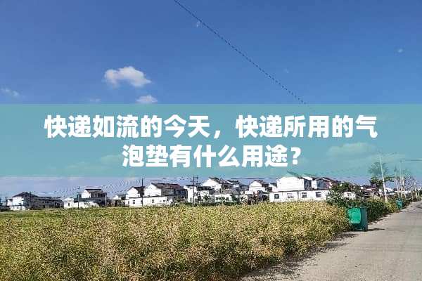 快递如流的今天，快递所用的气泡垫有什么用途？