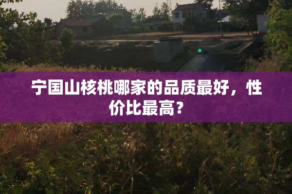 宁国山核桃哪家的品质最好，性价比最高？