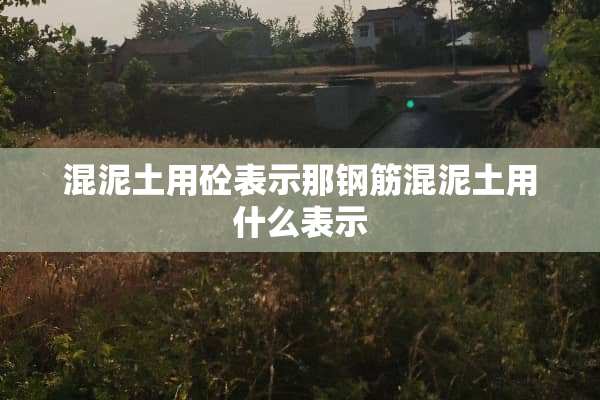 混泥土用砼表示那钢筋混泥土用什么表示