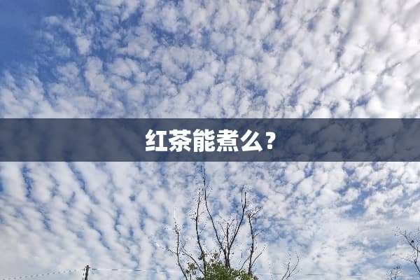 红茶能煮么？