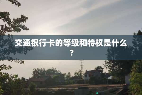 交通***的等级和特权是什么？