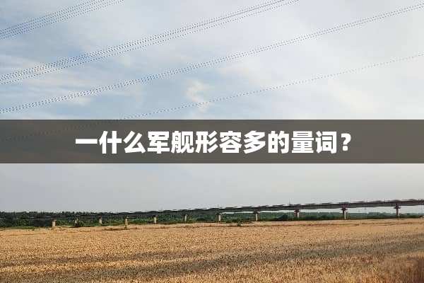 一什么军舰形容多的量词？