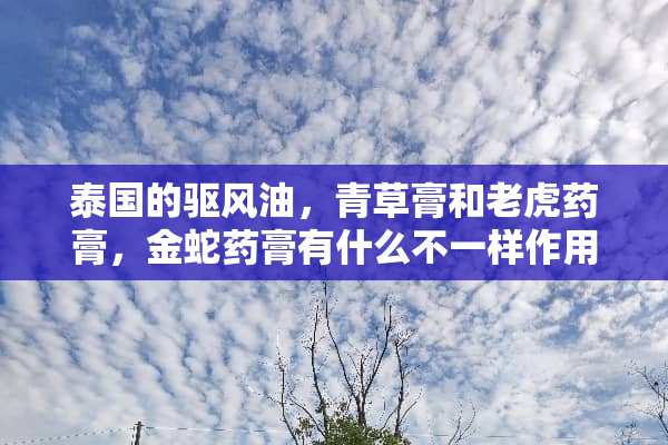 泰国的驱风油，青草膏和老虎药膏，金蛇药膏有什么不一样作用？可以互相替代吗？