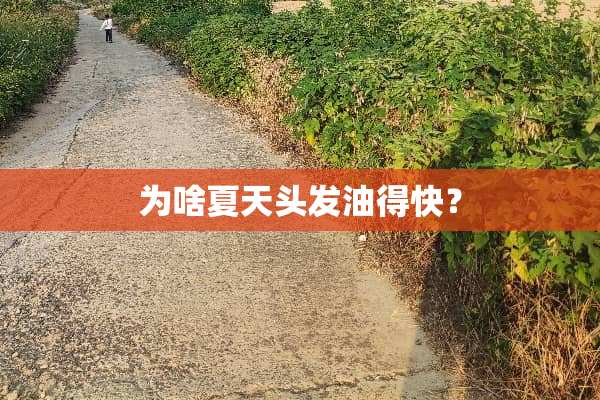 为啥夏天头发油得快？