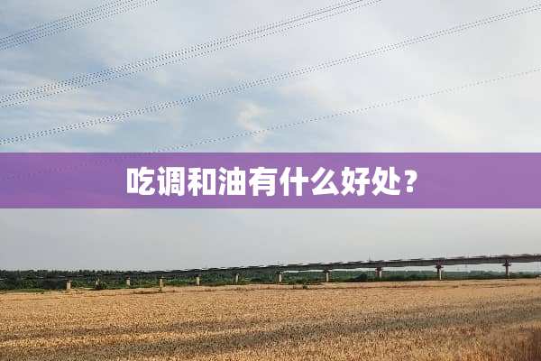 吃调和油有什么好处？