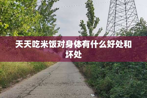 天天吃米饭对身体有什么好处和坏处