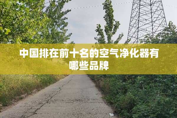 中国排在前十名的空气净化器有哪些品牌