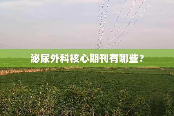 泌尿外科核心期刊有哪些？