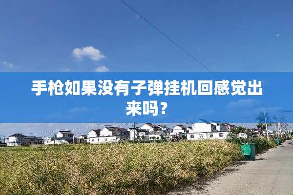 手*如果没有**挂机回感觉出来吗？