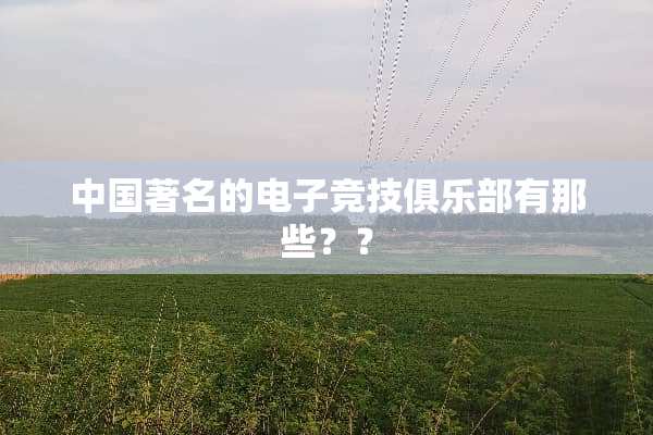 中国著名的电子竞技俱乐部有那些？？