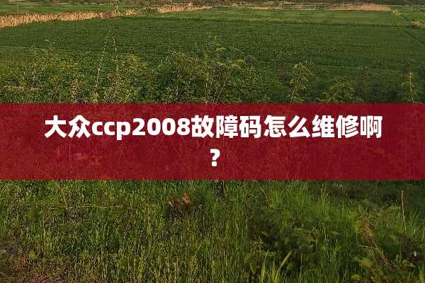 大众ccp2008故障码怎么维修啊？