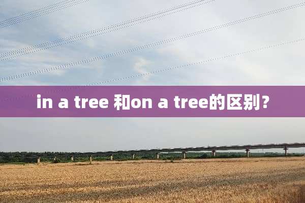 in a tree 和on a tree的区别？