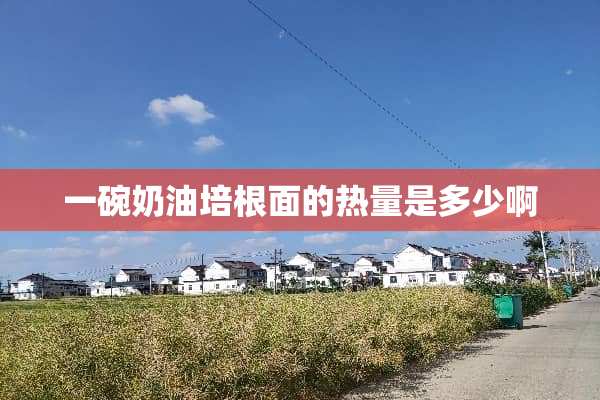 一碗奶油培根面的热量是多少啊