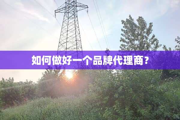 如何做好一个品牌代理商？