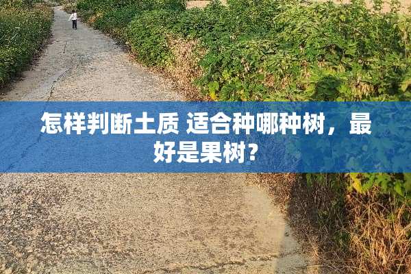 怎样判断土质 适合种哪种树，最好是果树？