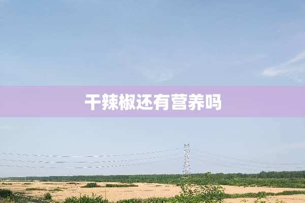 干辣椒还有营养吗