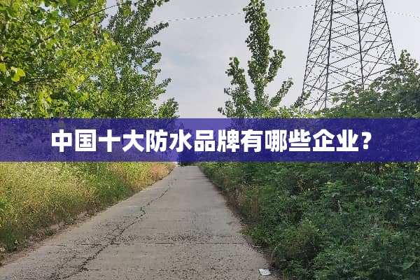中国十大防水品牌有哪些企业？