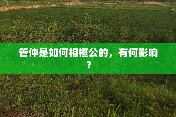 管仲是如何相桓公的，有何影响？